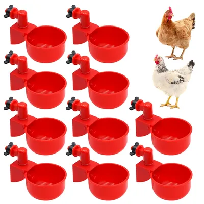 Abreuvoir automatique pour volaille 10 pièces poulet oiseau tasses d'eau canard Machine à
