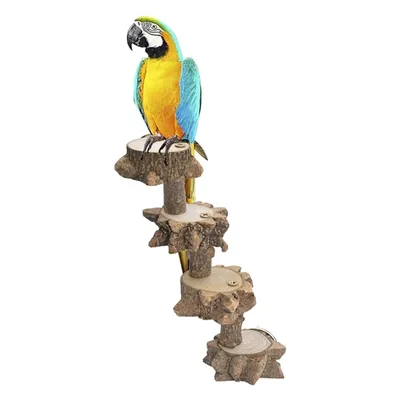 Échelle à 4 marches de 17cm perche à oiseaux plateforme en bois naturel aire de jeu pour