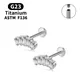 Boucles d'Oreilles en Titane G23 pour Femme Piercing Bijoux Accessoires