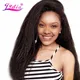 Lydia-Extensions Capillaires Synthétiques Crépues et Lisses pour Femme Noire Tissage de 12 à 24
