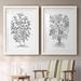 Gracie Oaks B&W Plant Specimen I-Premium Framed Print - Ready To Hang Canvas, Solid Wood in Brown/Gray/White | 31.5 H x 88 W x 1.5 D in | Wayfair