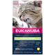 2x2kg Adult Hairball Control Eukanuba Dry Cat Food