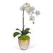 T&C Floral Company Single Orchids Floral Arrangement in Vase Faux Silk in Green | 18 H x 8 W x 8 D in | Wayfair S2110CGW