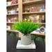 Primrue Riey Vanilla Grass Arranged In A Fiberstone Pot Silk/Plastic/Fiberstone | 12 H x 14 W x 14 D in | Wayfair 88D79C80A7D645C79560C01E5BDBD9AE