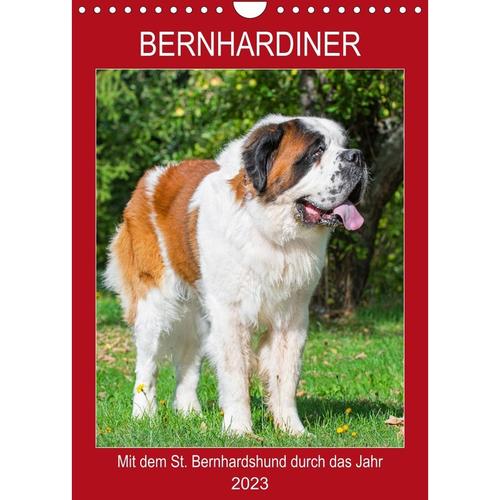 Bernhardiner - Mit dem St. Bernhardshund durch das Jahr (Wandkalender 2023 DIN A4 hoch)