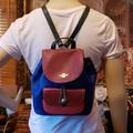 Coach Bags | Authentic Coach Backpack | Color: Blue/Pink | Size: Os
