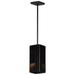 ET2 Lighting Rampart 11 Inch Tall 2 Light LED Outdoor Hanging Lantern - E30119-BK