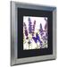 Trademark Fine Art 'Lavender I' by Color Bakery Framed Graphic Art Canvas, Wood in Indigo | 16 H x 16 W x 0.5 D in | Wayfair ALI5029-S1111BMF