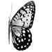 Rosalind Wheeler Monochrome Wings II by Annie Warren - Wrapped Canvas Print Canvas in White | 36 H x 24 W x 1.25 D in | Wayfair