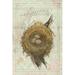 Rosalind Wheeler Nest - Sparrow Canvas in White | 36 H x 24 W x 1.25 D in | Wayfair 432A50C8837C44FE8833EBA274226B61