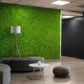 Tableaux végétaux stabilisés 4 60x40cm panneaux GreenBox Kit Lichene Support: PVC - Quantité: 2