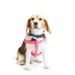 Reflective Adjustable Padded Pink Dog Harness, Medium