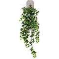 Artificial Ivy Plant - Fake Premium Quality Ivy Trailer in Green Leaf, 4 (Medium Trailing Ivy - green leaf), 70cm, 100cm, 120cm, 182cm