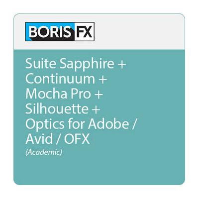 Boris FX Suite of Plug-Ins for Avid/Adobe/OFX (Annual Subscription, Single-Seat Acad SUITESA