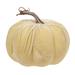 Gracie Oaks Kuat Pumpkin in White/Brown | 6.5 H in | Wayfair C4527BC6D80344679568F1CF1D409527