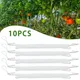 Réinitialisation de crochet d'oreille de support de plante de tomate treillis de plantes patch de
