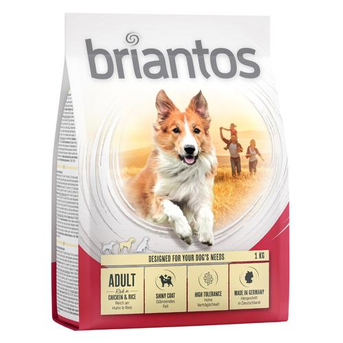 Briantos Adult Huhn & Reis - Sparpaket: 4 x 1 kg