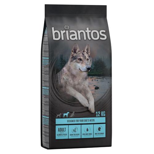 12 kg Briantos Adult Trockenfutter für Hunde: Lachs & Kartoffel (getreidefrei)