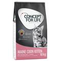 2 x 10kg Maine Coon Kitten Concept for Life Katzenfutter trocken