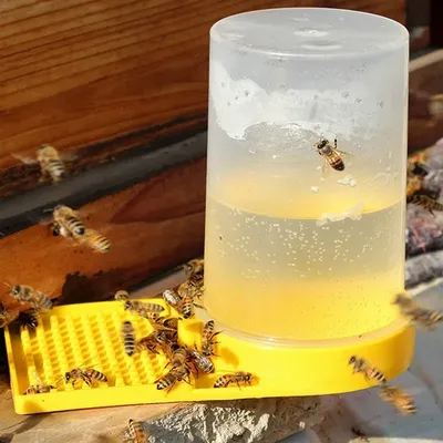 Outil en plastique pour l'alimentation des abeilles équation pour l'apiculture équation pour le