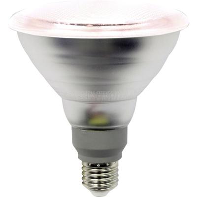 LED-Pflanzenlampe LM85322 138 mm 230 v E27 12 w Reflektor 1 St. - Lightme