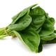 Vegetable Seeds - Spinach 'Cymbal' - 12 x Seed Pack