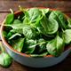 Vegetable Plants - Spinach 'Bella' - 6 x Plug Plant Pack