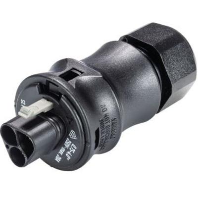Wieland - Electric 96.022.4053.1 Rundstecker Stecker, gerade Gesamtpolzahl: 2 Serie Image