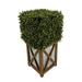 Primrue 10" Artificial Boxwood Topiary in Urn Wood/Plastic/Metal in Brown | 22 H x 11 W x 11 D in | Wayfair B69DBDE6A99D423093F3DEB2CF675971