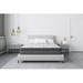 Twin Medium 12" Hybrid Mattress - Alwyn Home Baumeister | 75 H x 39 W 12 D in Wayfair 86EDC2E778384E17B98CC35363B3D113