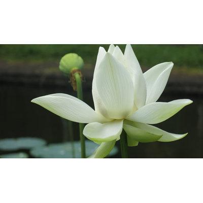 product_img5