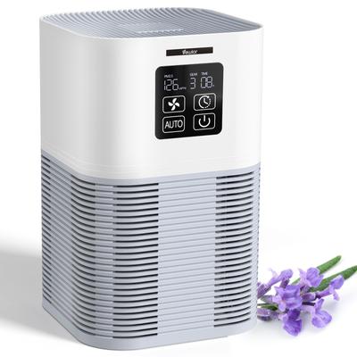 2 in 1 Air Purifier W/ H13 Filters Odor Eliminators Quiet Air Cleaner