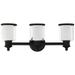 Middlebush 23 1/2" Wide Black 3-Light Bath Light