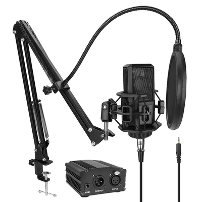 Microphone karaoké d'ordinateur ...