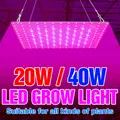Phyto-lampe pour culture de plantes LED 20W 40W lampe à LED LED V spectre complet système