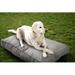 Tucker Murphy Pet™ IndoorOutdoor Sunbrella Dog Bed Polyester in White | 4 H x 36 W x 26 D in | Wayfair 2E5D70F4267646D9B2A60DC7DF917C81