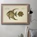 Rosecliff Heights Bloch Antique Fish VI - Picture Frame Print on Canvas Canvas, Solid Wood in White | 24 H x 36 W x 2.5 D in | Wayfair