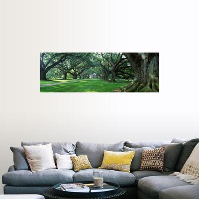 product_img5