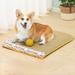 Tucker Murphy Pet™ Dog Mat Summer Mat House Cat House Small Dog Four Seasons All-Purpose Dog House Spring/Summer Pet Supplies Teddy Corgi Dog Bed Cooling Pad Bite Resist | Wayfair