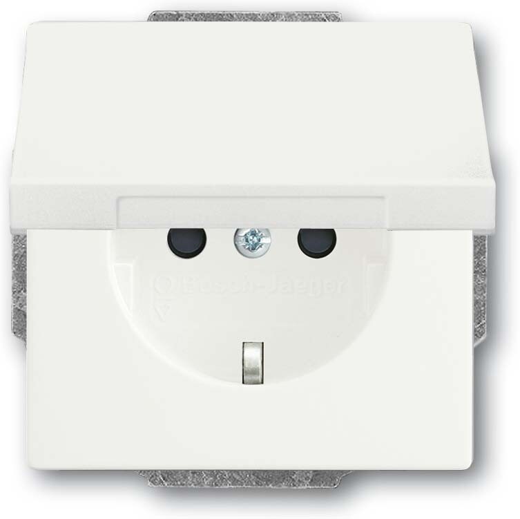 Busch-Jaeger SCHUKO Steckdosen-Einsatz 20 EUKB-884 2CKA002018A1522 Image