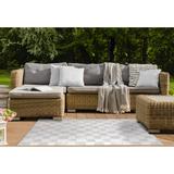 Gray 72 x 48 x 0.08 in Area Rug - Orren Ellis DISTRESSED CHECKS GREY Outdoor Rug By Becky Bailey Polyester | 72 H x 48 W x 0.08 D in | Wayfair