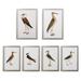 Shore Bird Giclée Prints - Large, Large Print ll - Frontgate