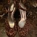 Jessica Simpson Shoes | Jessica Simpson Close Toe Cheetah Heels | Color: Brown/Tan | Size: 7