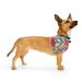 Floral Reversible Dog Bandana, Large/X-Large, Multi-Color