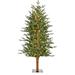 Fraser Hill Farm 4-Ft. Green Alpine Porch Accent Tree with Warm White LED Lights