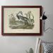 Red Barrel Studio® Audubons Louisiana Heron - Picture Frame Drawing Print on Canvas in Blue/Gray/Green | 18 H x 27 W x 2.5 D in | Wayfair