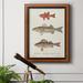 Rosecliff Heights Species Of Antique Fish II Premium Framed Canvas- Ready To Hang Canvas, Solid Wood in White | 36 H x 24 W x 2.5 D in | Wayfair
