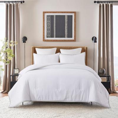 Framed Down Alternative Comforter Set by St. James Home in Grey (Size KING)