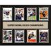 New England Patriots Super Bowl XXXIX Champions 12'' x 15'' Team Plaque