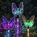 Exhart 3 Piece Solar Fiber Optic Butterfly Stake Assortment w/ Color Changing LED Bodies & Stakes Lined w/ LED Lights, 4 By 16 Inches Resin/Plastic